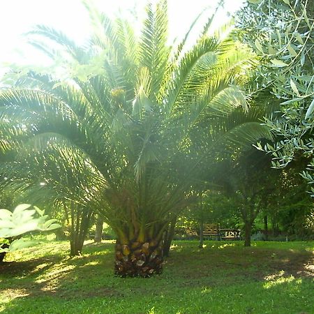 مبيت وإفطار Selci  La Vecchia Quercia المظهر الخارجي الصورة
