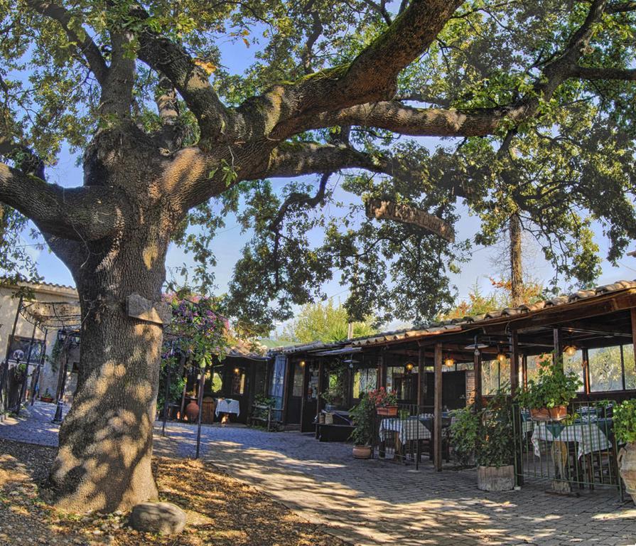 مبيت وإفطار Selci  La Vecchia Quercia المظهر الخارجي الصورة