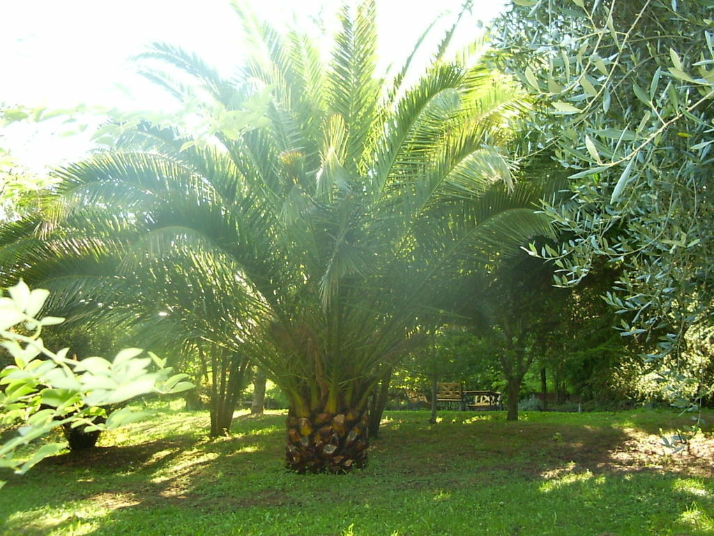 مبيت وإفطار Selci  La Vecchia Quercia المظهر الخارجي الصورة